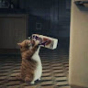 Meet your Posher, Sage